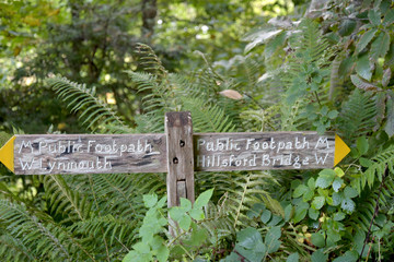 Signpost near Watersmeet, 
