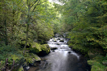 Fototapeta premium Rivers at Watersmeet, Lynmouth, Exmoor, North Devon