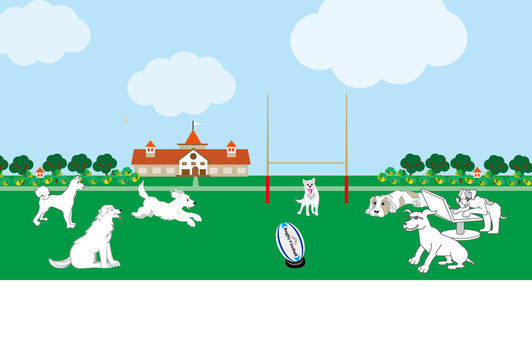 321 Best ラグビーボール Images Stock Photos Vectors Adobe Stock