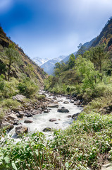 Fototapeta na wymiar Mountain river in Nepal Himalaya