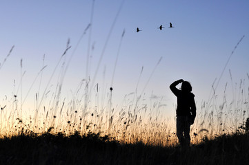 Femme regardant un passage de grues