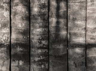 Old black and grey wood texture and wooden wall background.