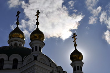 Gold Crist and arch elements 