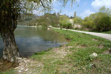 Ствол старой ивы на берегу пруда и дорога в Абрау-Дюрсо