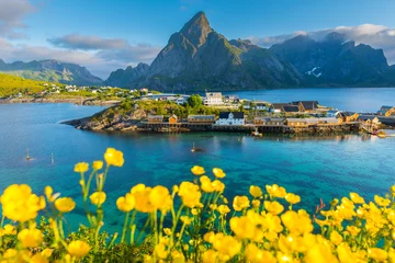 Photo sur Plexiglas Scandinavie Lofoten Summer Landscape Scenic