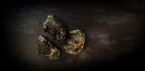 Raw oysters on the graphite board