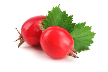 Hawthorn berry with leaf isolated on white background close-up