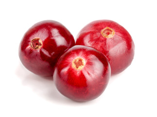 Cranberry isolated on white background closeup macro