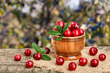 Cranberry with leaf in wooden bowl on old wooden table with blurry garden background