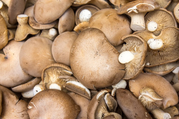 Portobello mushrooms