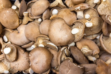 Portobello mushrooms
