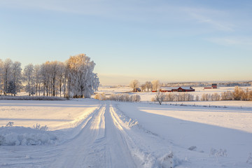 Fototapeta na wymiar Winter road with snow in the countryside