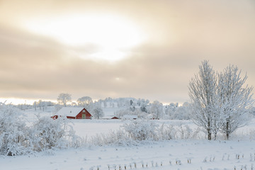 Farm barn in a cold winter landscape with snow and frost