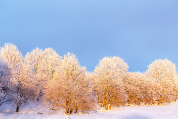 Wintry landscape with hoarfrost on the trees at the edge of the field