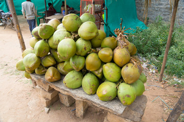 インド　ココナツ売り