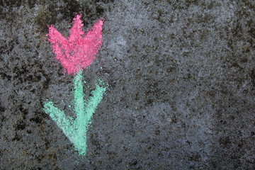  chalk drawing on asphalt: colorful tulip