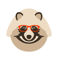 raccoon in glasses vector illustration flat style front