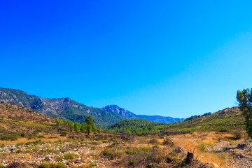 Green Hills