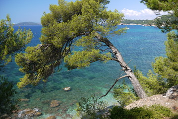 Chemin du Litorral cote Varoise