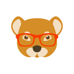 mongoose in glasses vector illustration flat style front