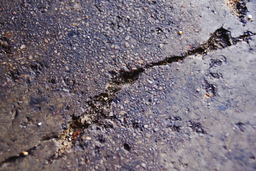Cement Crack On The Floor