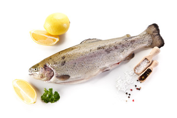 Fresh raw trout on white background