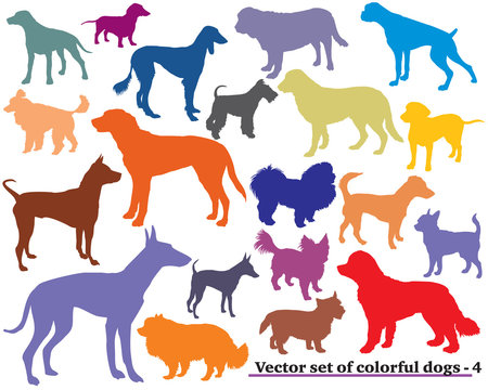 Set of colorful dogs silhouettes-4