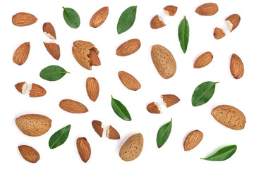 almonds with leaves isolated on white background. Flat lay pattern. Top view