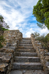 Fototapeta na wymiar Stone staircase with trees in park.