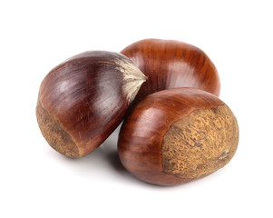 fresh edible chestnut isolated on white background