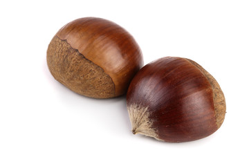 fresh edible chestnut isolated on white background