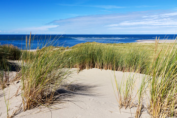 Dunes on a island in the Netherlands