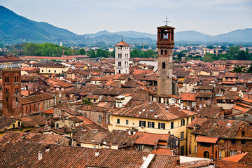 Fototapeta premium Aerial view of the Italian medieval city of Lucca, seen from the top of the Torre Guinigi - Tuscany, Italy