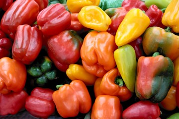 multicolor fruits of sweet pepper vegetable