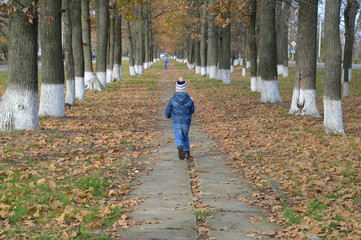Fototapeta premium Boy walks in autumn alley.