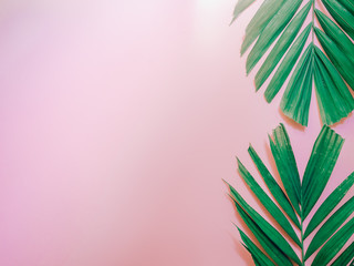 Fototapeta premium minimal summer background concept with vertical arrange palm leaf on pink pastel background