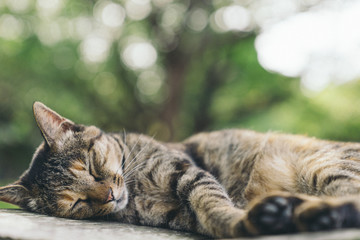 Relaxing