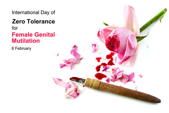cut rose blossom, blood and knife isolated on a white background with text International Day of Zero Tolerance for Female Genital Mutilation, 6 February, concept for human rights
