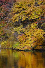 Autumn foliage and pond reflections, New Jersey