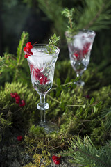 alcoholic cocktail with vodka, ice and berries