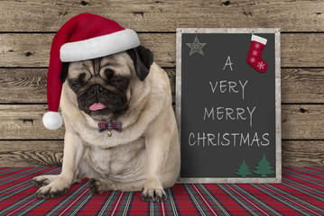 grumpy pug puppy dog with red santa hat sitting next to blackboard sign with text very merry...