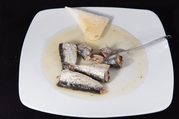 Sardine