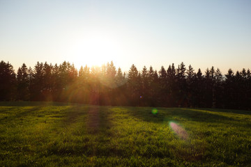 Majestic sunset in the forest landscape