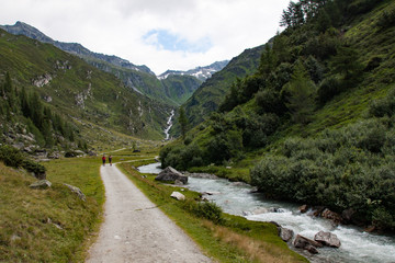 Hiking path in the Ahrntal Valley