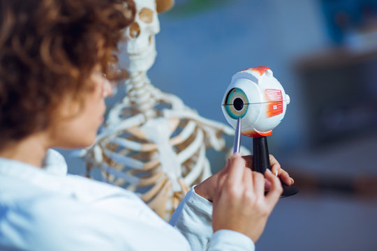 Medical doctor woman teaching anatomy using human eye model
