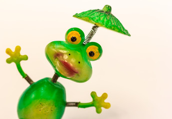 Toy Frogs isolated on White a Background
