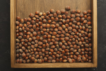 Pile of fresh organic hazelnuts on tray