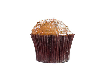 Chocolate chip muffin cup cake with powdered sugar closeup isolated on white background.