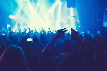 The audience watching the concert on stage.