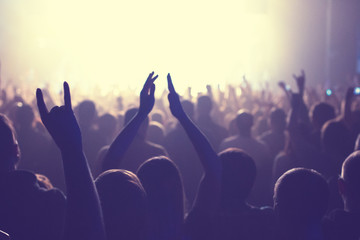 The audience watching the concert on stage.